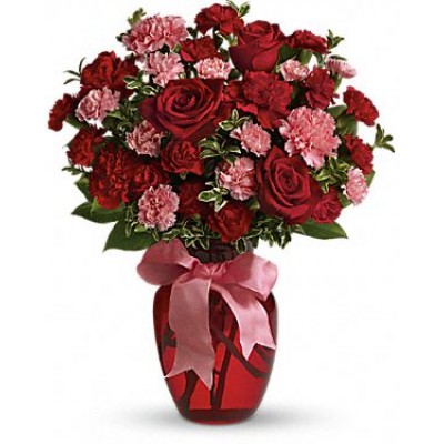 Ceri Rose Carnation LR