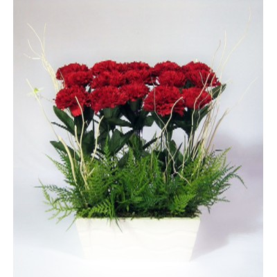 Dozen Red Carnations