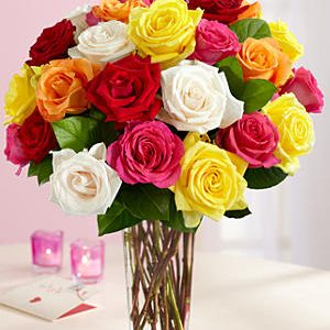 Amor (24 Mixed Roses) GW at Holland Flowers Dubai, Send Flowers to Dubai UAE Flowers