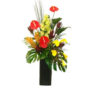 Anthucalla Burst DA at Holland Flowers Dubai, Send Flowers to Dubai UAE Designer