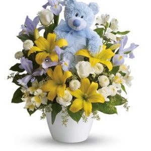 Baby Boy Cuddle BB at Holland Flowers Dubai, Send Flowers to Dubai UAE Flowers