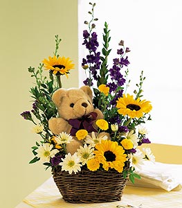 Basket of Bear Blooms HB at Holland Flowers Dubai, Send Flowers to Dubai UAE Birthday