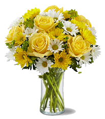 Delightful Daisies & Roses GW at Holland Flowers Dubai, Send Flowers to Dubai UAE Flowers