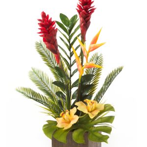 Heliconia Ginger DA at Holland Flowers Dubai, Send Flowers to Dubai UAE Flowers