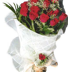 Rose Delight HAB at Holland Flowers Dubai, Send Flowers to Dubai UAE Flowers