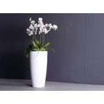 SANTORINI POT 65CM & 40CM at Holland Flowers Dubai, Send Flowers to Dubai UAE Pots 5