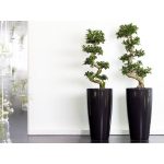 SANTORINI POT 65CM & 40CM at Holland Flowers Dubai, Send Flowers to Dubai UAE Pots 6