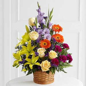 Transvaal beauty HB at Holland Flowers Dubai, Send Flowers to Dubai UAE Birthday