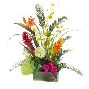 Tropical Beauty DA at Holland Flowers Dubai, Send Flowers to Dubai UAE Flowers