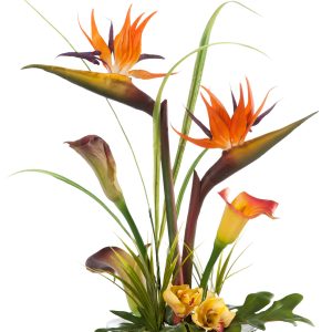 Tropical Paradise DA at Holland Flowers Dubai, Send Flowers to Dubai UAE Designer